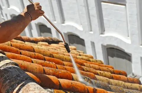 Nettoyage de toitures - Paris